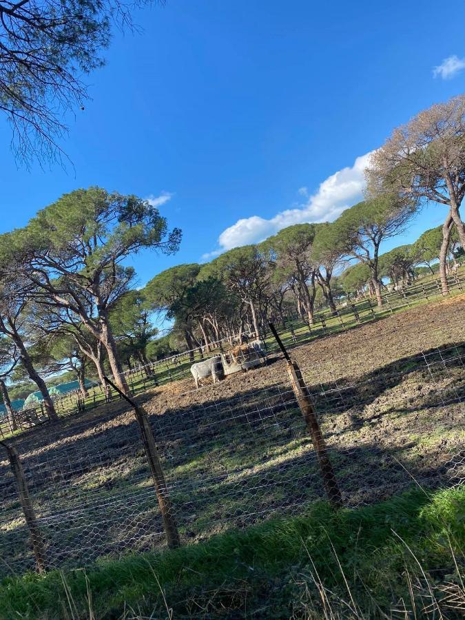 Beautiful Apartment With Exclusive Garden And Terrace Monteverdi Marittimo Eksteriør billede