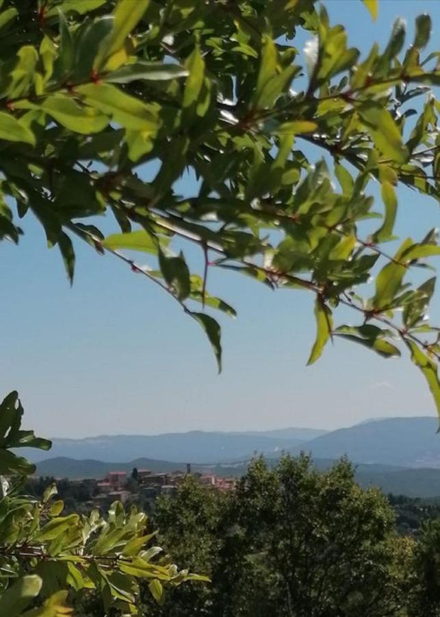 Beautiful Apartment With Exclusive Garden And Terrace Monteverdi Marittimo Eksteriør billede